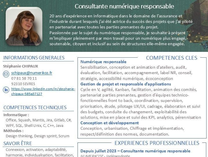 CV consultante numérique responsable